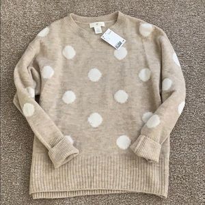 H&M Polka Dot Sweater